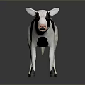Black and White Calf Model Standing on Gray Background with Reflection 3d model