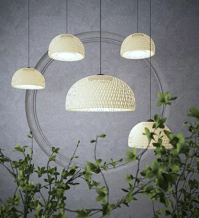 Modern Woven Pendant Lights Hanging Over Gray Wall With Circular Decor And Green Plants 3d model