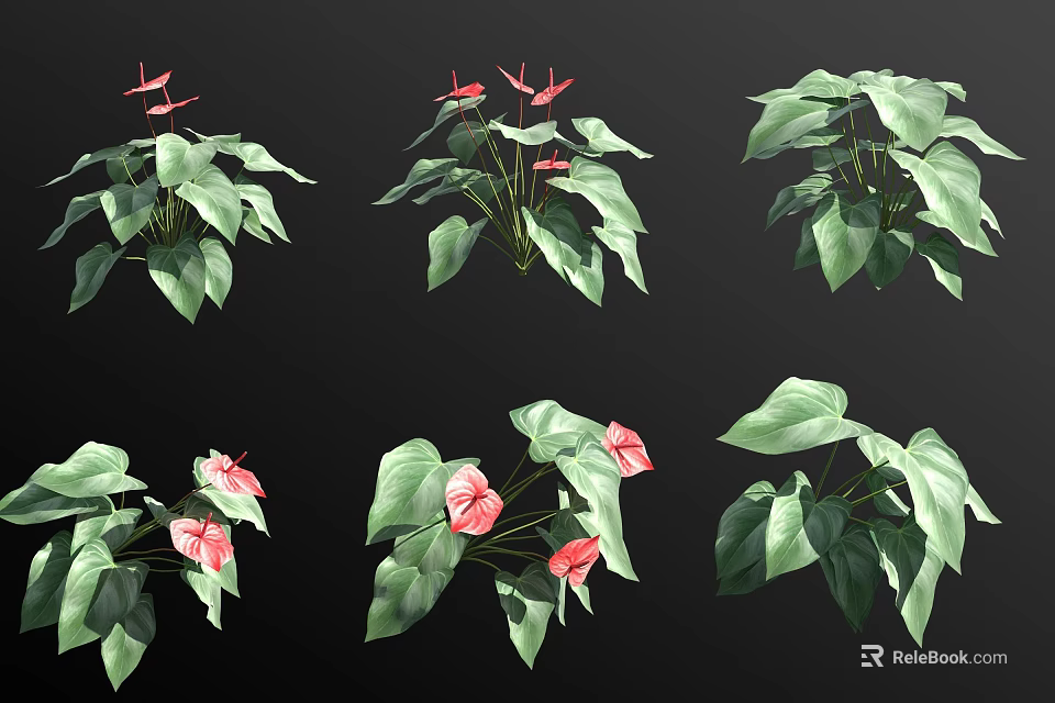 Multiple Potted Flowering Plants With Green Leaves And Pink Blooms Display Arrangement 3d model 