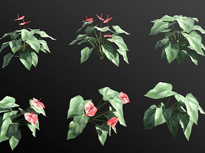 Multiple Potted Flowering Plants With Green Leaves And Pink Blooms Display Arrangement 3d model