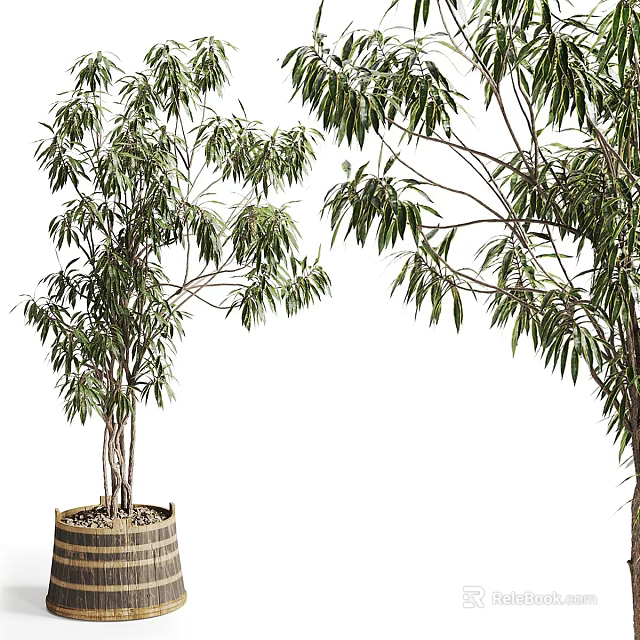 Potted Bonsai Bamboo Plant in Wooden Barrel with Lush Green Foliage for Indoor Decor 3d model 