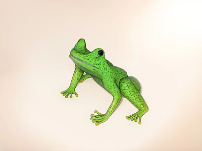 Green Frog Doll With Spotted Design Plastic Material And Stretchy Limbs 3d model