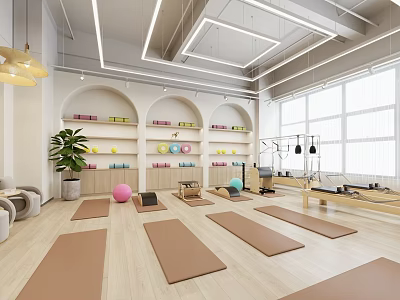 Modern Yoga Fitness Studio With Yoga Mats Fitness Balls Pilates Equipment Natural Light And Plants 3d model