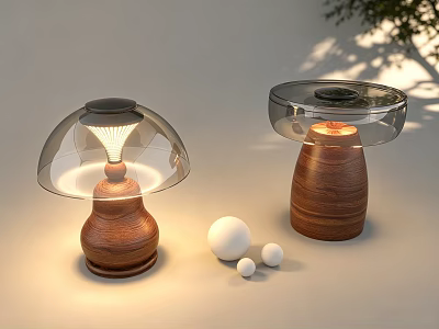 Illuminated Modern Table Lamps With Wooden Bases Transparent Shades And Decorative Balls 3d model