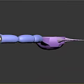 3D Rendered Neuron Structure Medical Device for Medical Education and Research