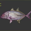 Silver Fish With Shiny Scales And Distinct Fins On Reflective Surface