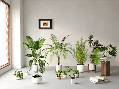 Assorted Indoor Potted Plants With Natural Light Decorative Pots And Wall Art 3d model