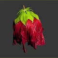 Vibrant Red Flower With Wrinkled Petals Green Calyx And Yellow Parts On Dark Background