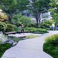 Night Garden Landscape With Paved Pathway Green Plants Red Maple Tree Trimmed Hedges And Lighting