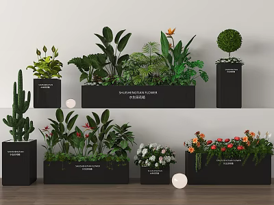 Indoor Plant Combination With Various Green Plants And Flowers In Black Planters 3d model