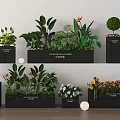 Indoor Plant Combination With Various Green Plants And Flowers In Black Planters