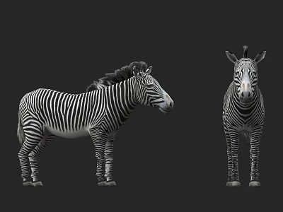 Two Striped Reptiles Standing On Black Background In Profile And Front View 3d model