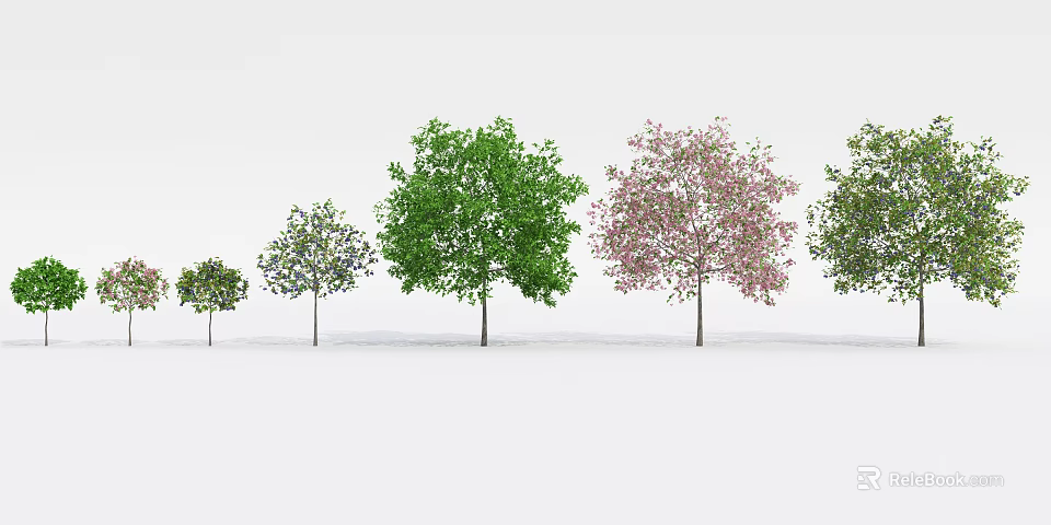 Row of Arbor Trees With Various Sizes Green Leaves and Pink Blossoms 3d model 