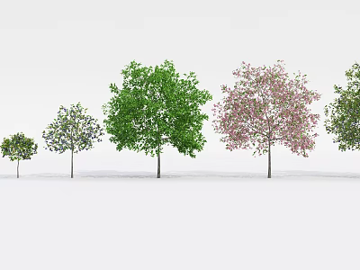Row of Arbor Trees With Various Sizes Green Leaves and Pink Blossoms 3d model