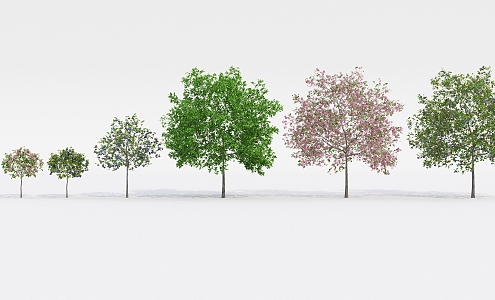 Modern Tree Fruit Tree 3d model