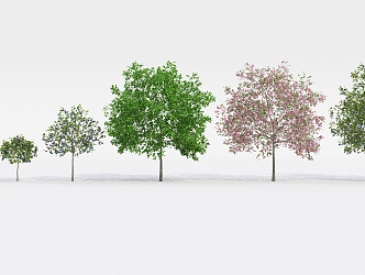 Modern Tree Fruit Tree 3d model