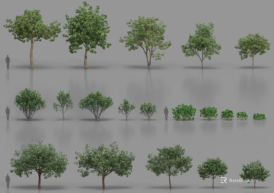Various Arbor Trees With Different Sizes Green Foliage And Crown Shapes 3d model