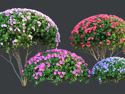 Vibrant Flowering Shrubs Featuring Pink Red Purple And Blue Blooms With Green Foliage 3d model