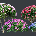 Vibrant Flowering Shrubs Featuring Pink Red Purple And Blue Blooms With Green Foliage