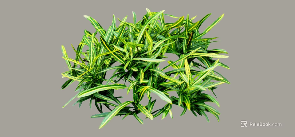 Arbor With Green And Yellow Slender Leaves In Dense Round Foliage 3d model 