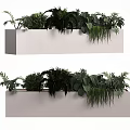 Various Potted Bonsai Green Plants In White Rectangular Hanging Planters For Indoor Decoration