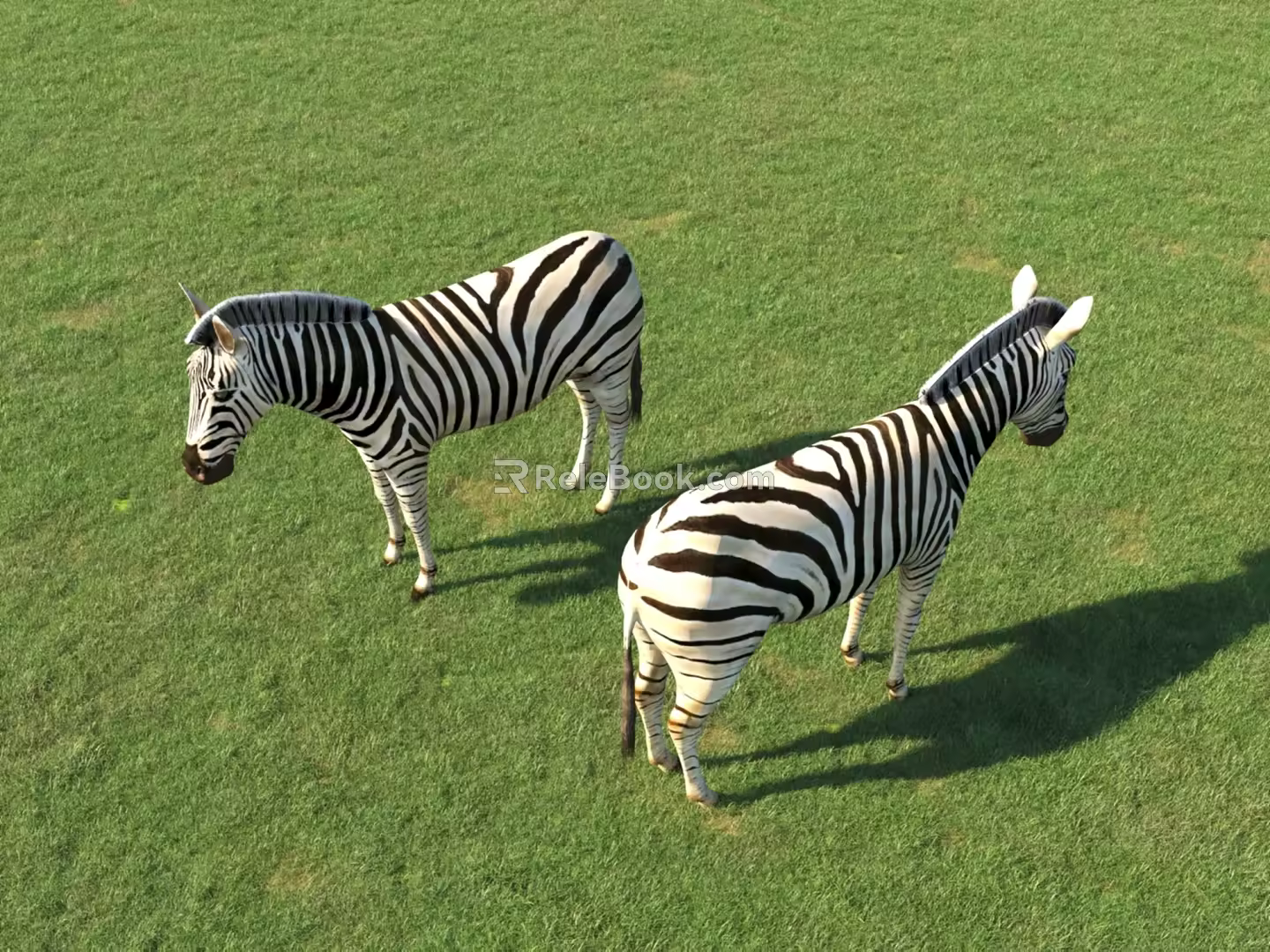 Zebra Animal Sculpture 3D Model 3d model