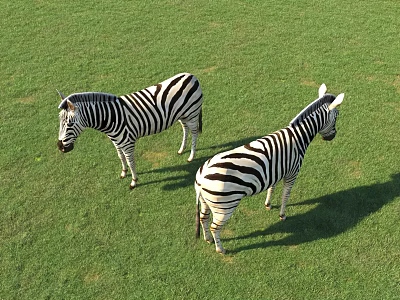 Two Reptiles Standing On Lush Green Grass Aerial Perspective View From Above 3d model
