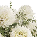 Elegant Decorative Ornament Set with White Flowers Green Leaves in Textured Vase