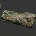 Natural Wooden Stone Log With Natural Texture And Knots On Black Reflective Surface Background