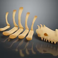 Anatomical Organ and Hair Sample Model in Light Yellow Tone with Dark Reflective Background