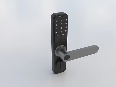 Modern Smart Door Handle With Digital Keypad And Sleek Black Finish 3d model