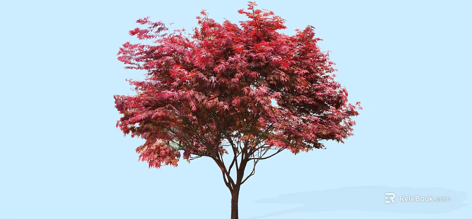 Vibrant Red Leaf Arbor With Lush Canopy Against Clear Blue Sky 3d model 