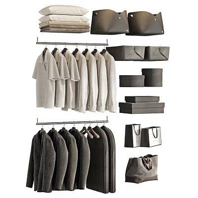 Organized Wardrobe With Hanging White T-Shirts Dark Sweaters Storage Boxes And Handbags 3d model