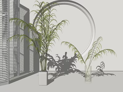 Bonsai Potted Plants Indoor Display With Window Blinds And Circular Decor Elements 3d model