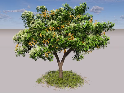 Lush Arbor With Green Foliage And Vibrant Orange Fruits On Grass 3d model