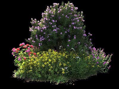 Vibrant Garden Shrub With Purple Pink Yellow Flowers And Green Leaves 3d model