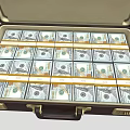 Premium Fashion Apparel Budget In Open Leather Briefcase With Cash