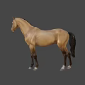 Brown Horse Game Character With Black Mane Tail Muscular Build 3D Rendered