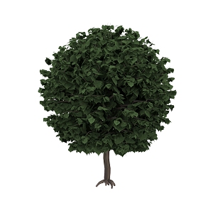 Tree Landscape Tree Garden 3d model