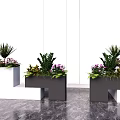 Modern Geometric Flower Planters In White And Dark Gray Holding Various Greenery And Flowers