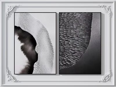 Black and White Decorative Paintings with Ink Like and Wavy Textures in Ornate White Frames 3d model