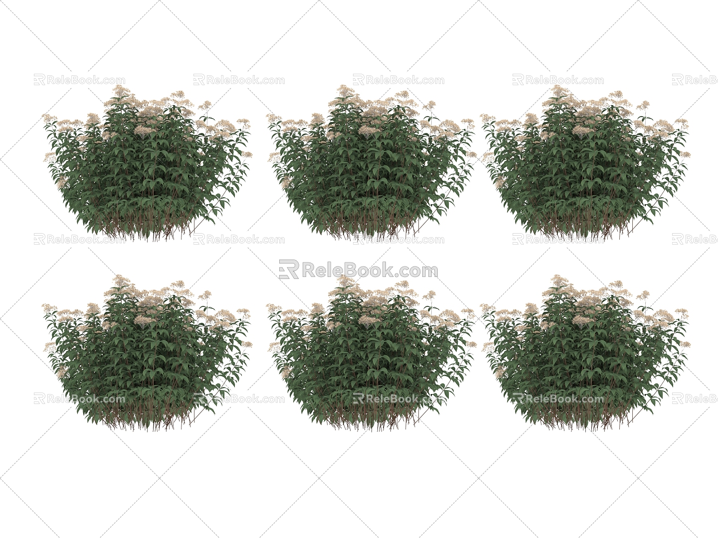 Green Plant Scented Tea 3d model