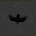 Realistic Black Ravens Flying and Perched with Detailed Feathers in Natural Scene