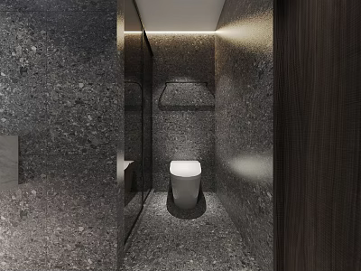 Modern Hotel Guest Room with Stone Walls White Toilet Glass Partition and Wooden Accents 3d model