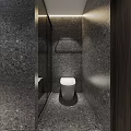 Modern Hotel Guest Room with Stone Walls White Toilet Glass Partition and Wooden Accents