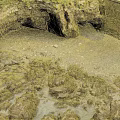 Rocky Coastal Terrain Featuring Cave Moss Covered Stone Walls Sandy Ground And Pebbles