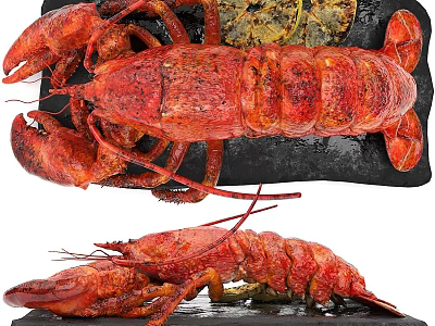Juicy Red Grilled Lobster Served With Fresh Herbs And Lemon On Black Slate Plate 3d model