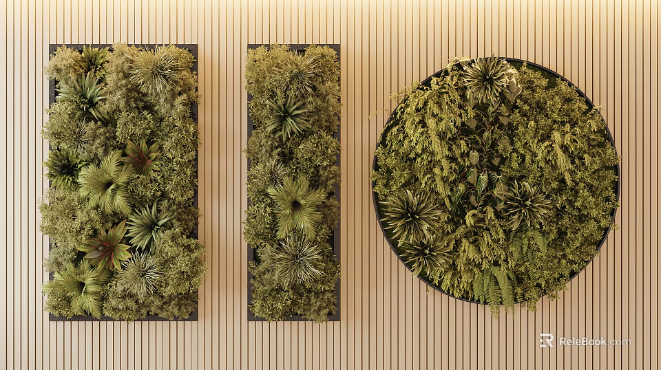 Interior Living Plant Wall Design With Rectangular And Circular Panels On Wooden Background 3d model