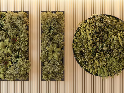 Interior Living Plant Wall Design With Rectangular And Circular Panels On Wooden Background 3d model