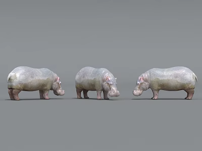 Three Reptile Models Standing On Gray Background With Realistic Physical Features 3d model